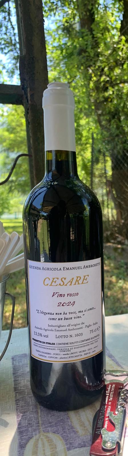 Vino rosso "CESARE"